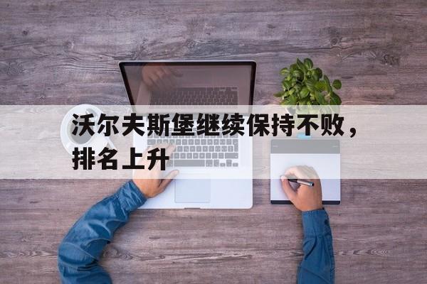 沃尔夫斯堡继续保持不败，排名上升的简单介绍